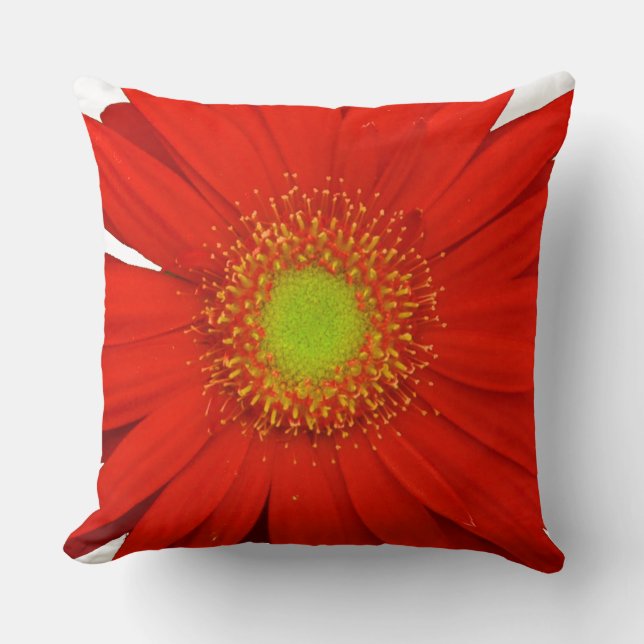 Orange Gerbera Daisy Flower Throw Pillow (Front)