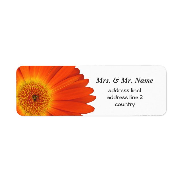 orange gerbera daisy flowers (Front)