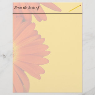 orange gerbera daisy flowers