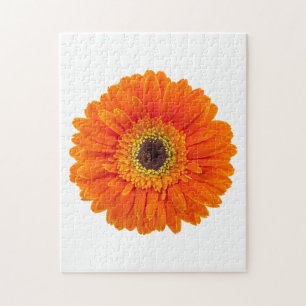 Orange Gerbera Daisy Jigsaw Puzzle