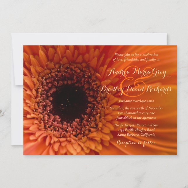 Orange Gerbera Daisy Macro Wedding Invitation (Front)