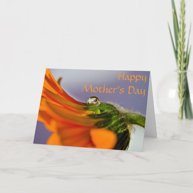 Orange Gerbera Daisy Mother's Day Card (Front)