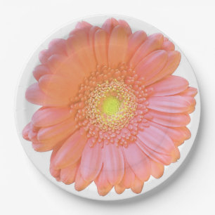 Orange gerbera daisy paper plate