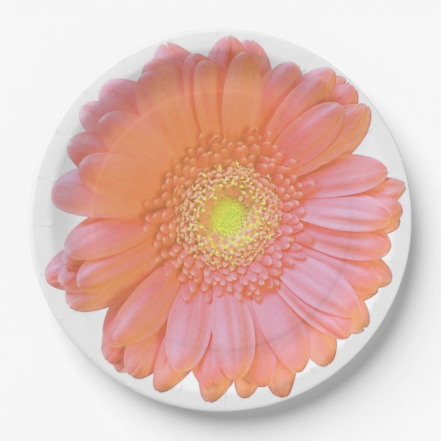 Orange gerbera daisy paper plate (Front)