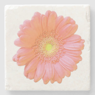 Orange gerbera daisy stone coaster