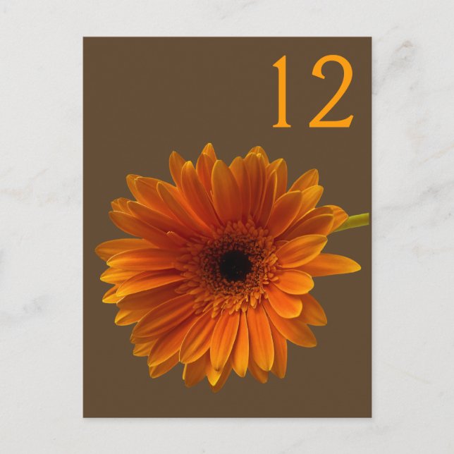 Orange Gerbera Daisy Table Number Card (Front)