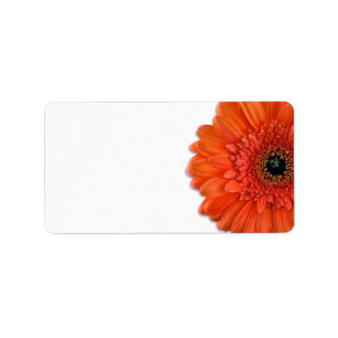 Orange Gerbera Daisy Wedding Blank Address Labels