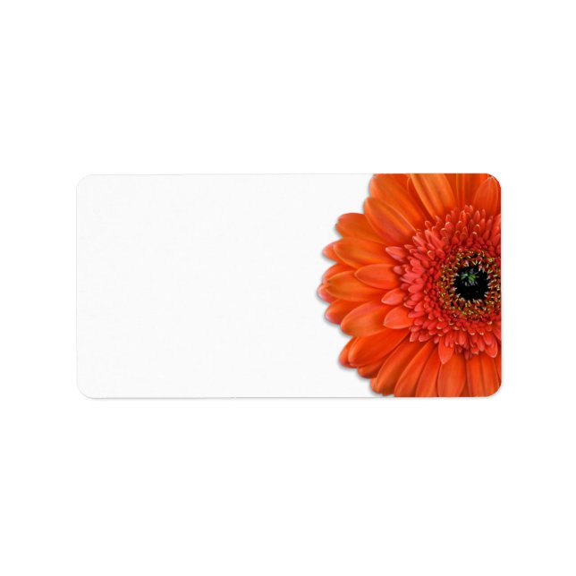 Orange Gerbera Daisy Wedding Blank Address Labels (Front)
