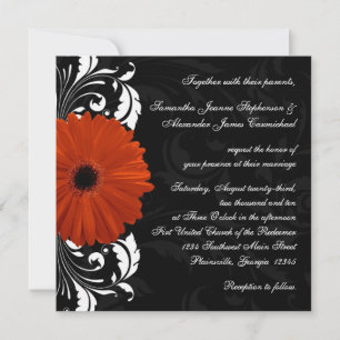 Orange Gerbera Daisy with Black and White Scroll Invitation