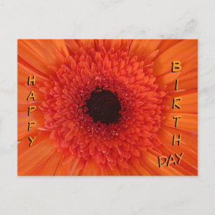 Orange Gerbera Gros plan Carte postale Joyeuse Ann