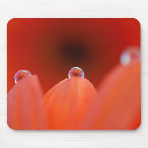 Orange Gerbera Refraction Mousepad
