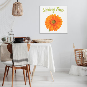 Orange Gerbera spring time flower on white photo  Poster