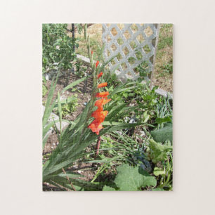 orange gladiolas jigsaw puzzle