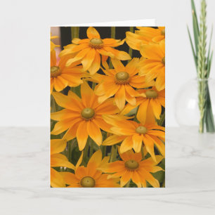 Orange Glory Card
