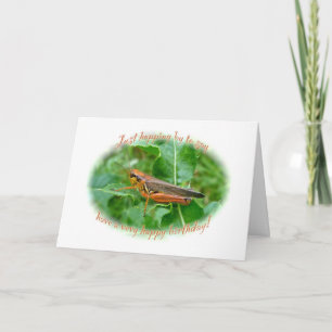 Orange Grasshopper Birthday Card