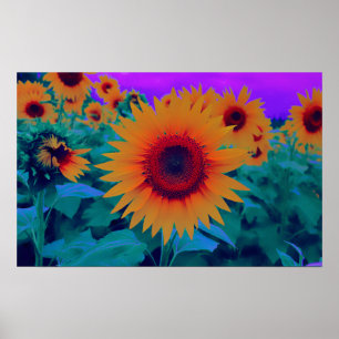 Orange, Green, and Purple Autumn Sunflower Floral Poster