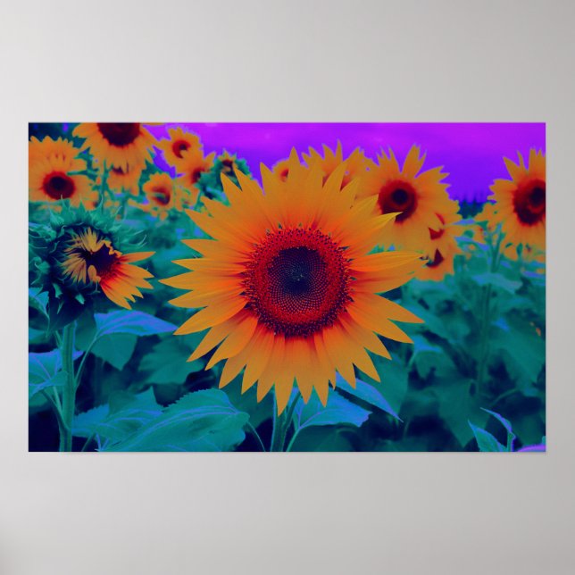 Orange, Green, and Purple Autumn Sunflower Floral Poster (Front)