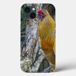 Orange Grey Fluffy Rooster,  iPhone 13 Case