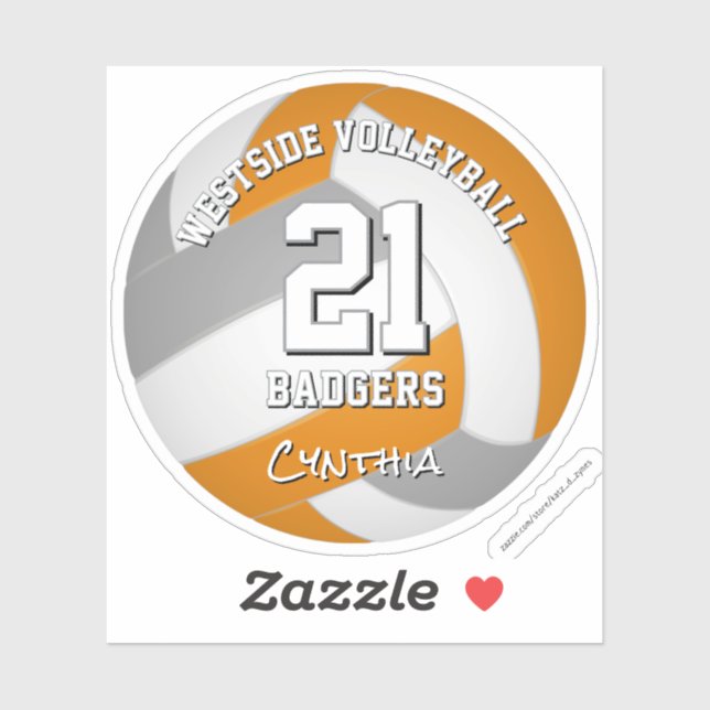 orange grey sports team colours volleyball player (Sheet)