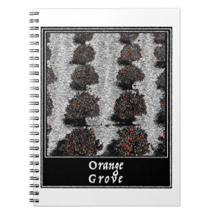 Orange Grove Notebook