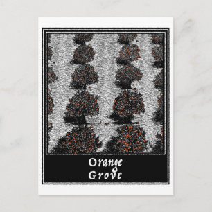 Orange Grove Postcard