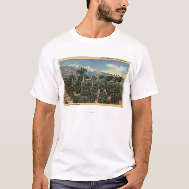 Orange Grove Scene with Snow Capped Mts T-Shirt (Front)