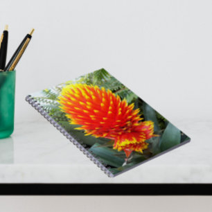 Orange Guzmania Conifera Tropical Floral Notebook