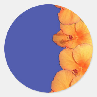Orange Hawaiian Hibiscus Flowers Classic Round Sticker