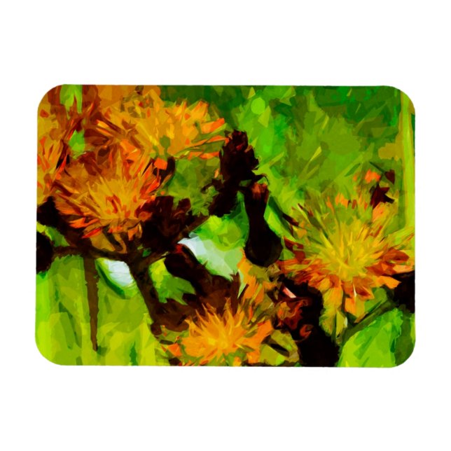 Orange Hawkweed Blossoms Abstract Impressionism Magnet (Horizontal)