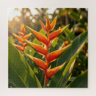 Orange Heliconia Tropical Flower Golden Hour  Jigsaw Puzzle