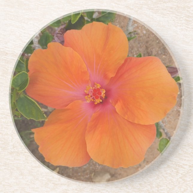 Orange Hibiscus coaster (Front)