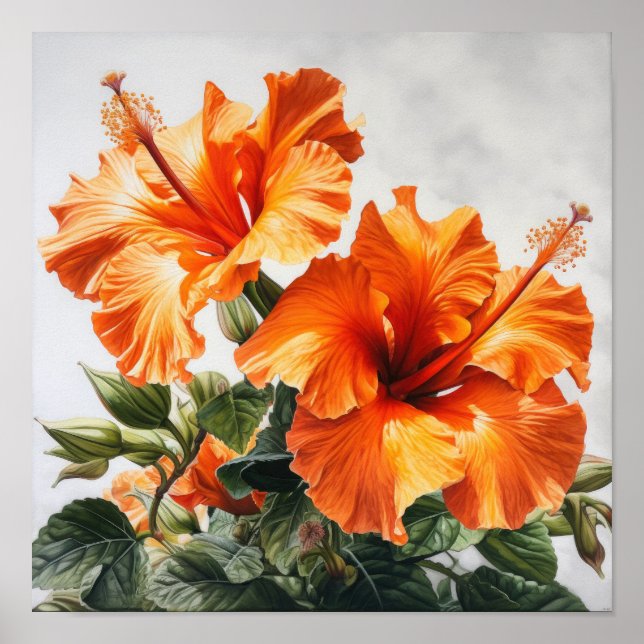 Orange Hibiscus Flower Art Imprimer Poster (Devant)