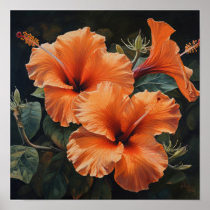 Orange Hibiscus Flower Art Imprimer Poster