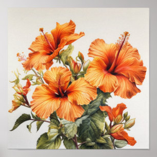 Orange Hibiscus Flower Art Print Poster