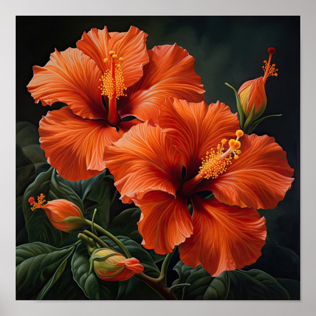 Orange Hibiscus Flower Art Print Poster (Front)