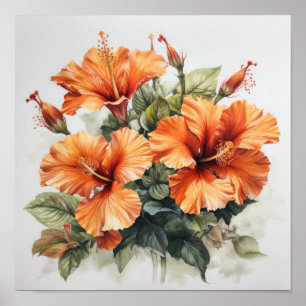 Orange Hibiscus Flower Art Print Poster