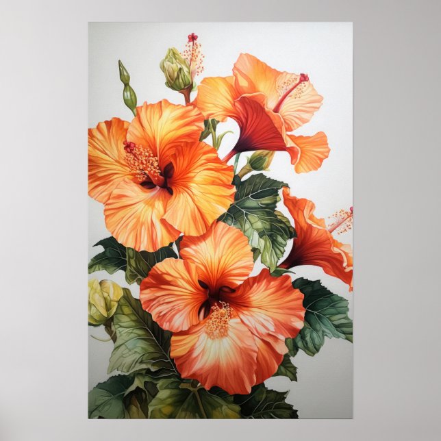 Orange Hibiscus Flower Art Print Poster (Front)