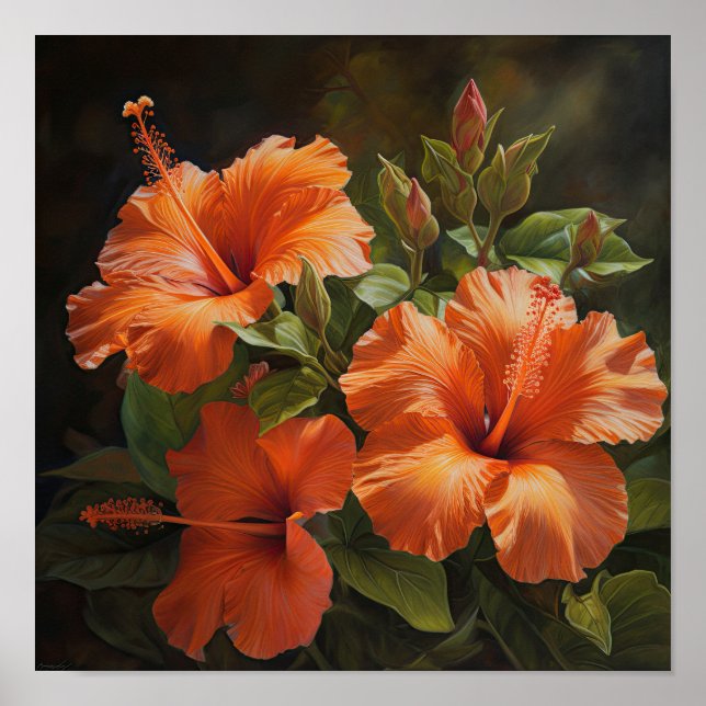 Orange Hibiscus Flower Art Print Poster (Front)