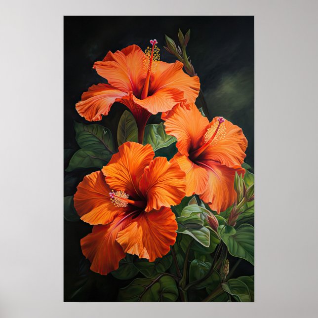 Orange Hibiscus Flower Art Print Poster (Front)