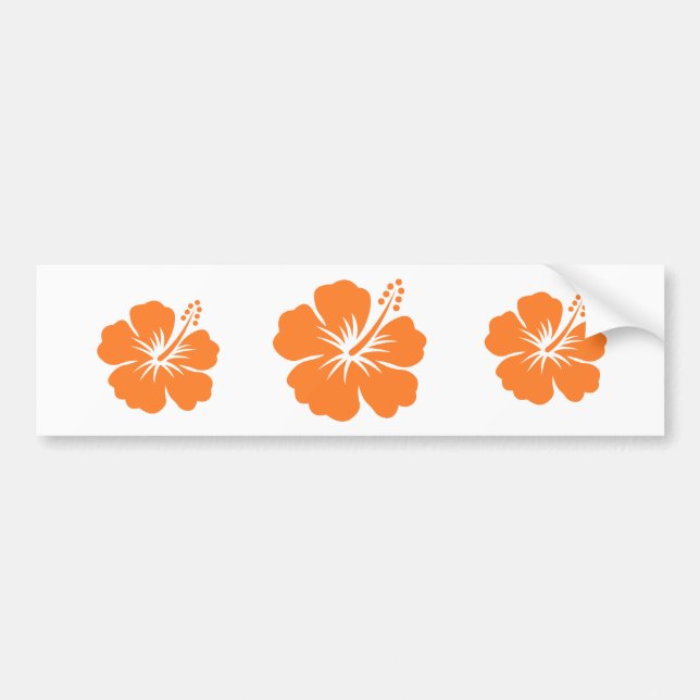 Orange hibiscus flower bumper sticker (Front)