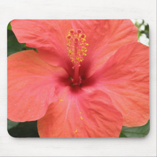 Orange Hibiscus Flower Macro Mousepad