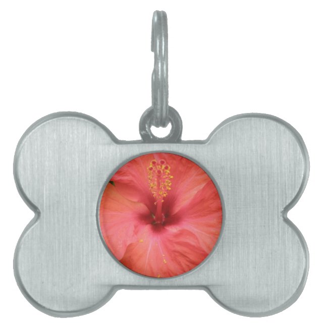 Orange Hibiscus Flower Macro Pet Tag (Front)