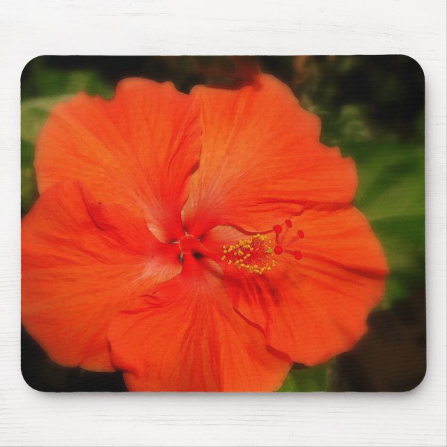 Orange Hibiscus Flower Mousepad (Front)