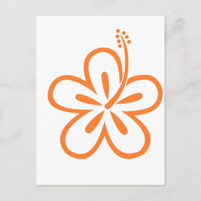 Orange hibiscus flower postcard (Front)