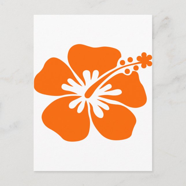 Orange hibiscus flower postcard (Front)