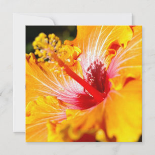 Orange Hibiscus Flower Side View Invitation
