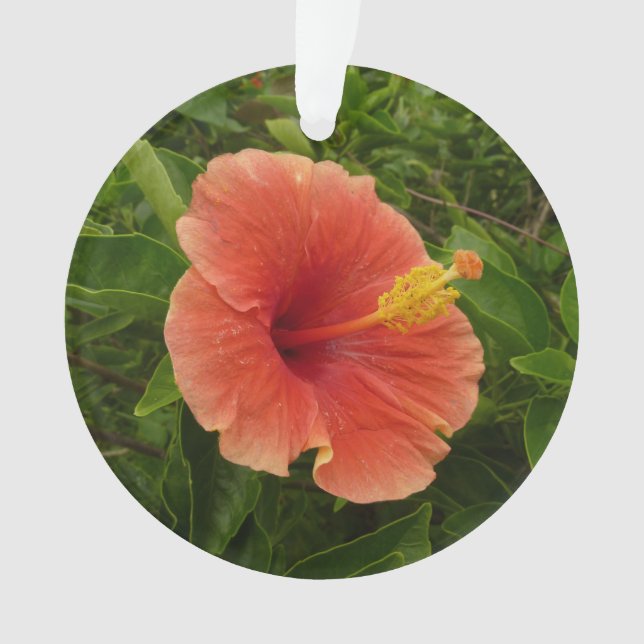 Orange Hibiscus Flower Tropical Floral Ornament (Front)
