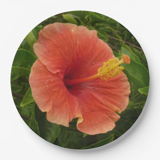 Orange Hibiscus Flower Tropical Floral Paper Plate (Front)