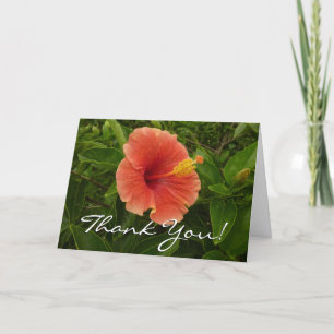 Orange Hibiscus Flower Tropical Floral Thank You Card