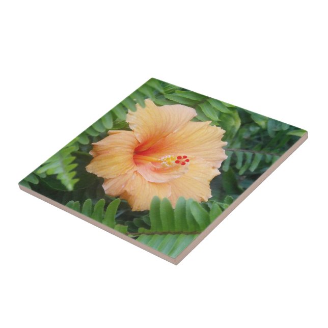 Orange Hibiscus Flower with Ferns Tile (Side)